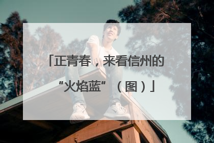 正青春，来看信州的“火焰蓝”（图）