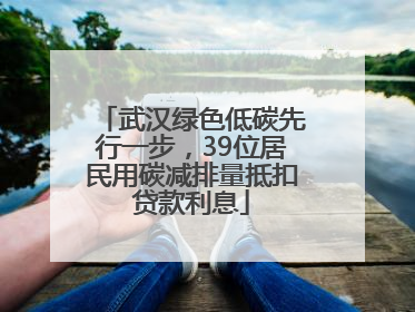 武汉绿色低碳先行一步，39位居民用碳减排量抵扣贷款利息
