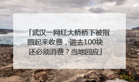 武汉一网红大桥桥下被指圈起来收费，进去100块还必须消费？当地回应