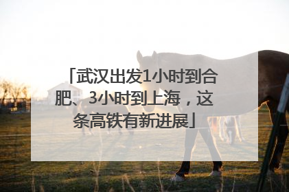 武汉出发1小时到合肥、3小时到上海，这条高铁有新进展