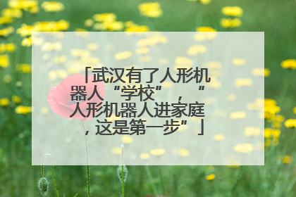 武汉有了人形机器人“学校”，“人形机器人进家庭，这是第一步”