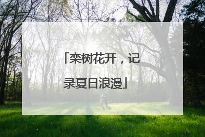 栾树花开，记录夏日浪漫