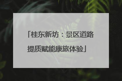 桂东新坊：景区道路提质赋能康旅体验