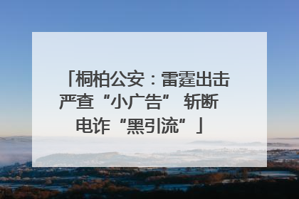 桐柏公安：雷霆出击严查“小广告” 斩断电诈“黑引流”