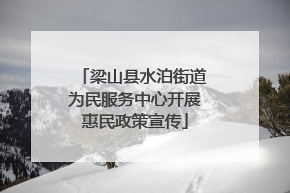 梁山县水泊街道为民服务中心开展惠民政策宣传