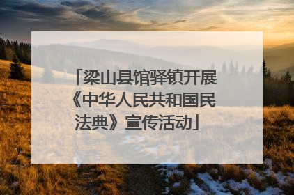 梁山县馆驿镇开展《中华人民共和国民法典》宣传活动