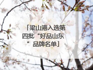 梁山港入选第四批“好品山东”品牌名单