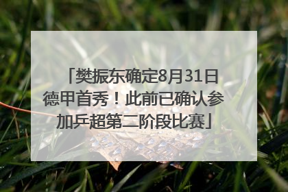 樊振东确定8月31日德甲首秀！此前已确认参加乒超第二阶段比赛