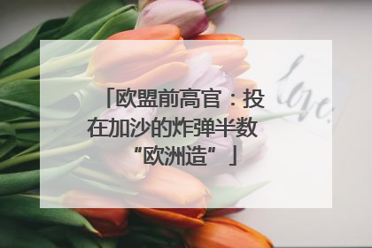 欧盟前高官：投在加沙的炸弹半数“欧洲造”