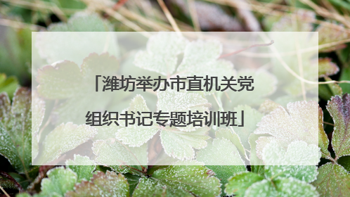 潍坊举办市直机关党组织书记专题培训班