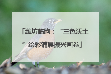 潍坊临朐：“三色沃土”绘彩铺展振兴画卷