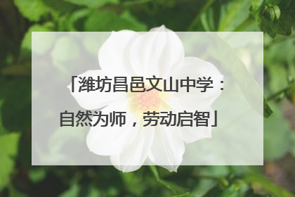 潍坊昌邑文山中学：自然为师，劳动启智