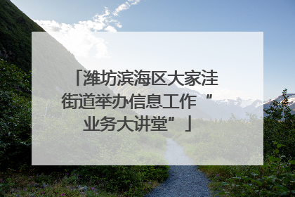 潍坊滨海区大家洼街道举办信息工作“业务大讲堂”