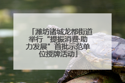 潍坊诸城龙都街道举行“提振消费·助力发展”首批示范单位授牌活动