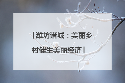 潍坊诸城：美丽乡村催生美丽经济