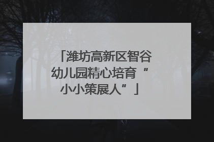 潍坊高新区智谷幼儿园精心培育“小小策展人”