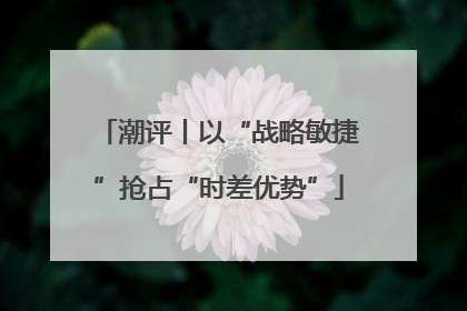 潮评丨以“战略敏捷”抢占“时差优势”