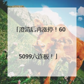 澄清后再涨停！605099六连板！