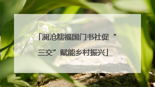 澜沧糯福国门书社促“三交”赋能乡村振兴