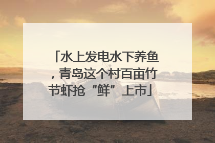 水上发电水下养鱼，青岛这个村百亩竹节虾抢“鲜”上市
