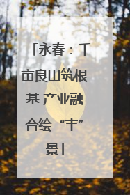 永春：千亩良田筑根基 产业融合绘“丰”景