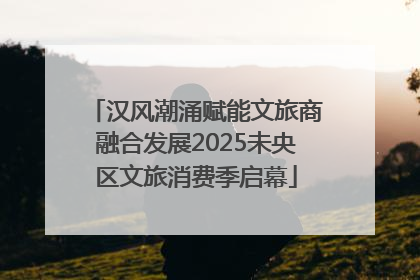 汉风潮涌赋能文旅商融合发展2025未央区文旅消费季启幕