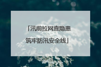 汛前拉网查隐患 筑牢防汛安全线