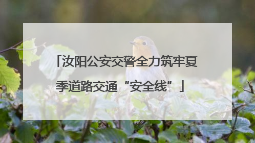 汝阳公安交警全力筑牢夏季道路交通“安全线”