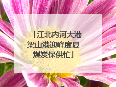 江北内河大港梁山港迎峰度夏煤炭保供忙