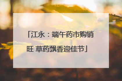 江永：端午药市购销旺 草药飘香迎佳节