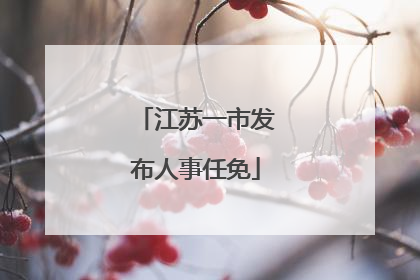 江苏一市发布人事任免