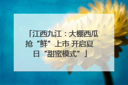 江西九江：大棚西瓜抢“鲜”上市 开启夏日“甜蜜模式”