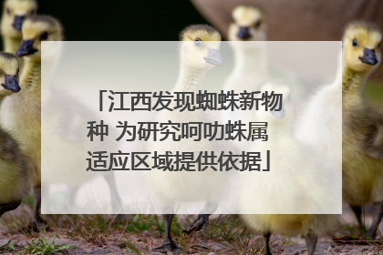江西发现蜘蛛新物种 为研究呵叻蛛属适应区域提供依据