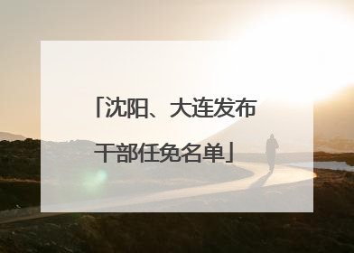 沈阳、大连发布干部任免名单