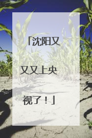 沈阳又又又上央视了！