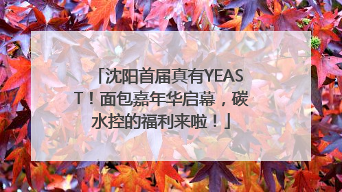 沈阳首届真有YEAST！面包嘉年华启幕，碳水控的福利来啦！
