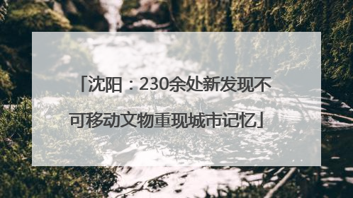 沈阳：230余处新发现不可移动文物重现城市记忆