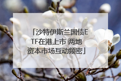 沙特伊斯兰国债ETF在港上市 两地资本市场互动频密