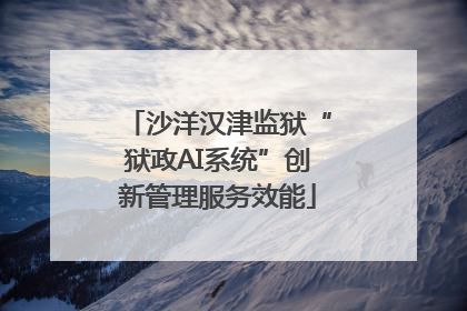 沙洋汉津监狱“狱政AI系统”创新管理服务效能