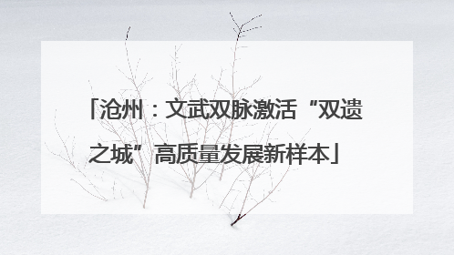 沧州：文武双脉激活“双遗之城”高质量发展新样本