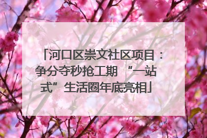 河口区崇文社区项目：争分夺秒抢工期 “一站式”生活圈年底亮相