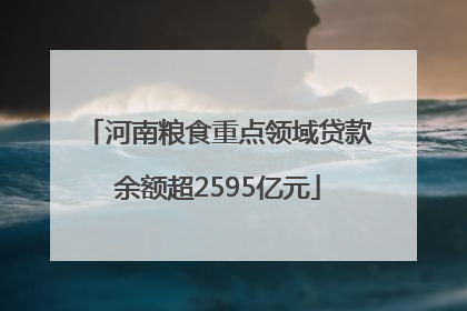 河南粮食重点领域贷款余额超2595亿元