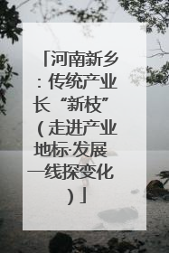 河南新乡：传统产业长“新枝”（走进产业地标·发展一线探变化）