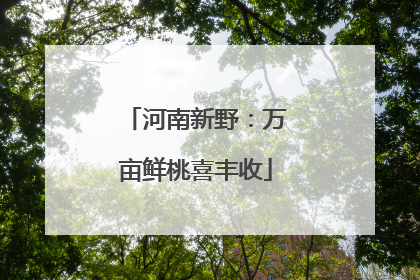 河南新野：万亩鲜桃喜丰收