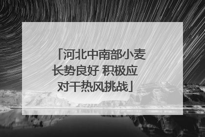 河北中南部小麦长势良好 积极应对干热风挑战