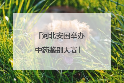 河北安国举办中药鉴别大赛