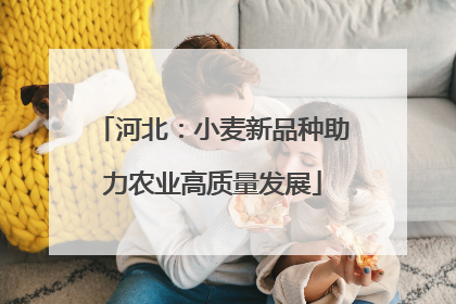 河北：小麦新品种助力农业高质量发展