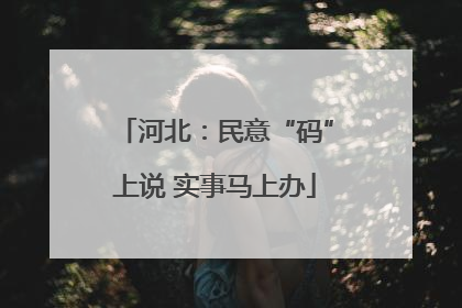 河北：民意“码”上说 实事马上办