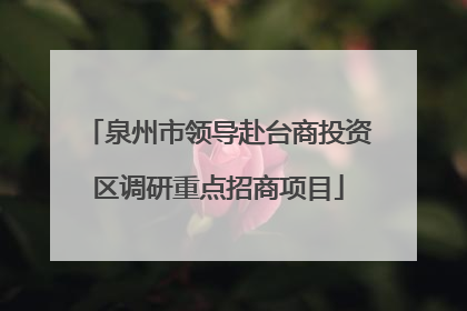 泉州市领导赴台商投资区调研重点招商项目