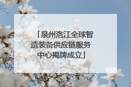 泉州洛江全球智造装备供应链服务中心揭牌成立